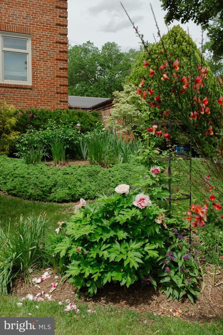 1755 Upshur Street NW photo 72