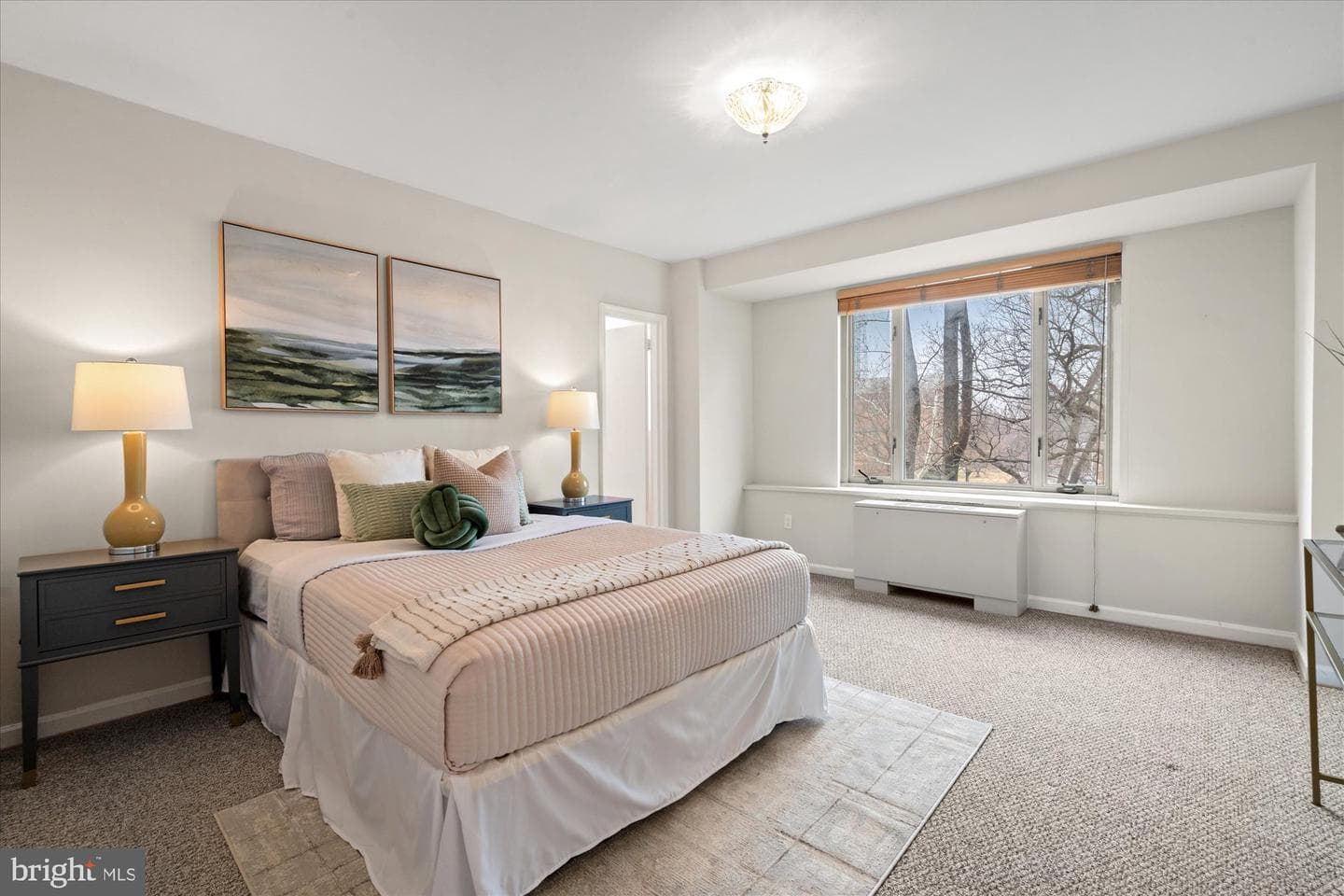 4301 Massachusetts Avenue NW #5012 photo 9
