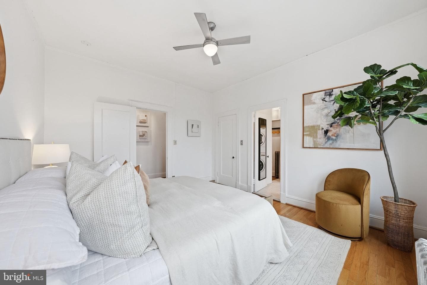 1731 S Street NW #11 photo 19