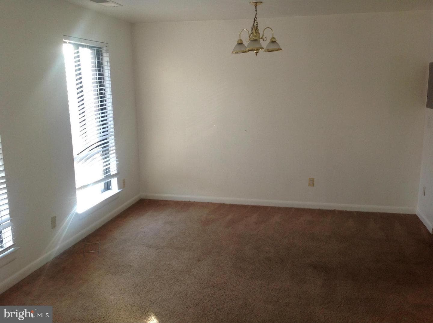 1631 Gainesville Street SE #301 photo 3