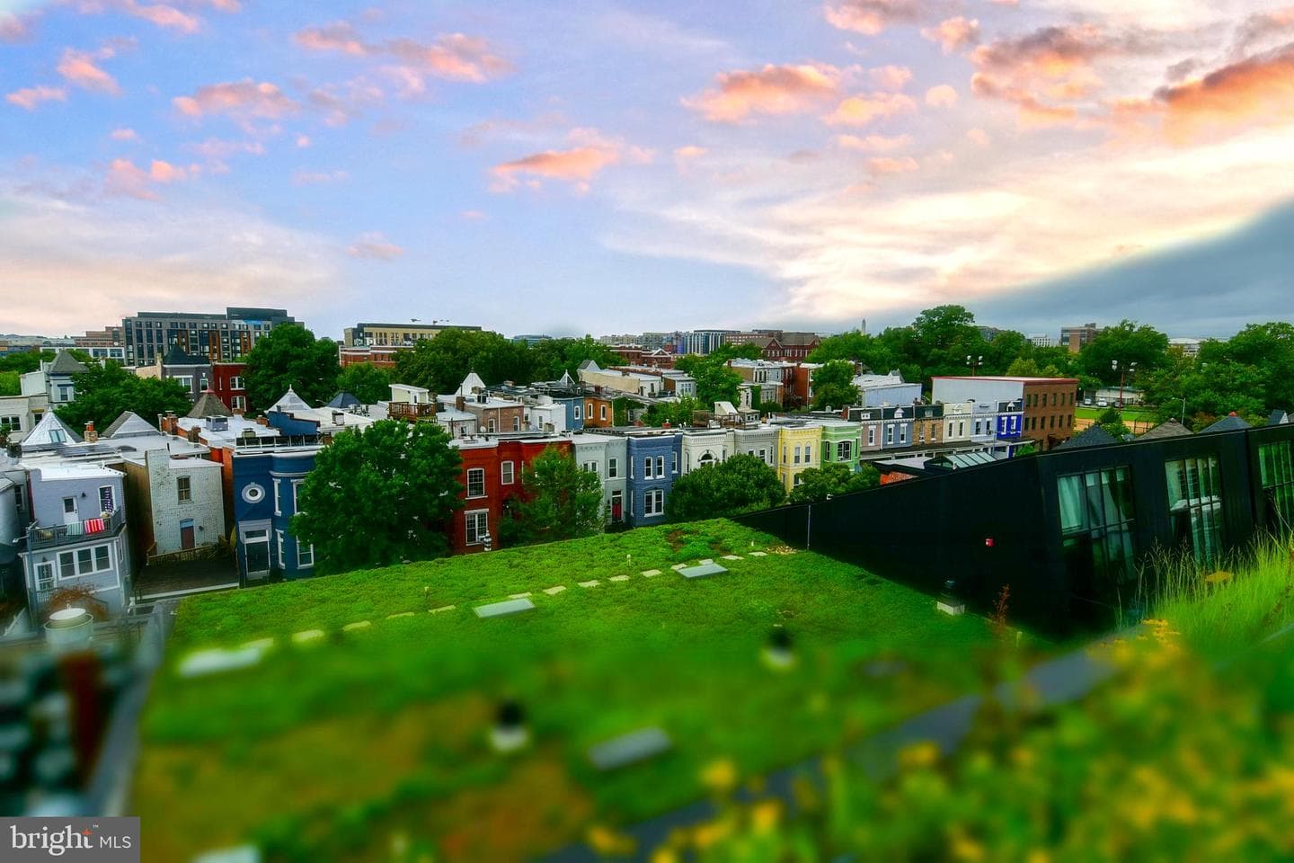 57 N Street NW #301 photo 24
