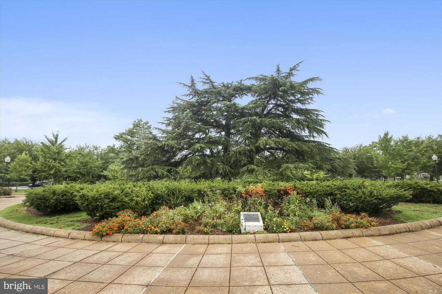 4315 New Hampshire Avenue NW #1 photo 21