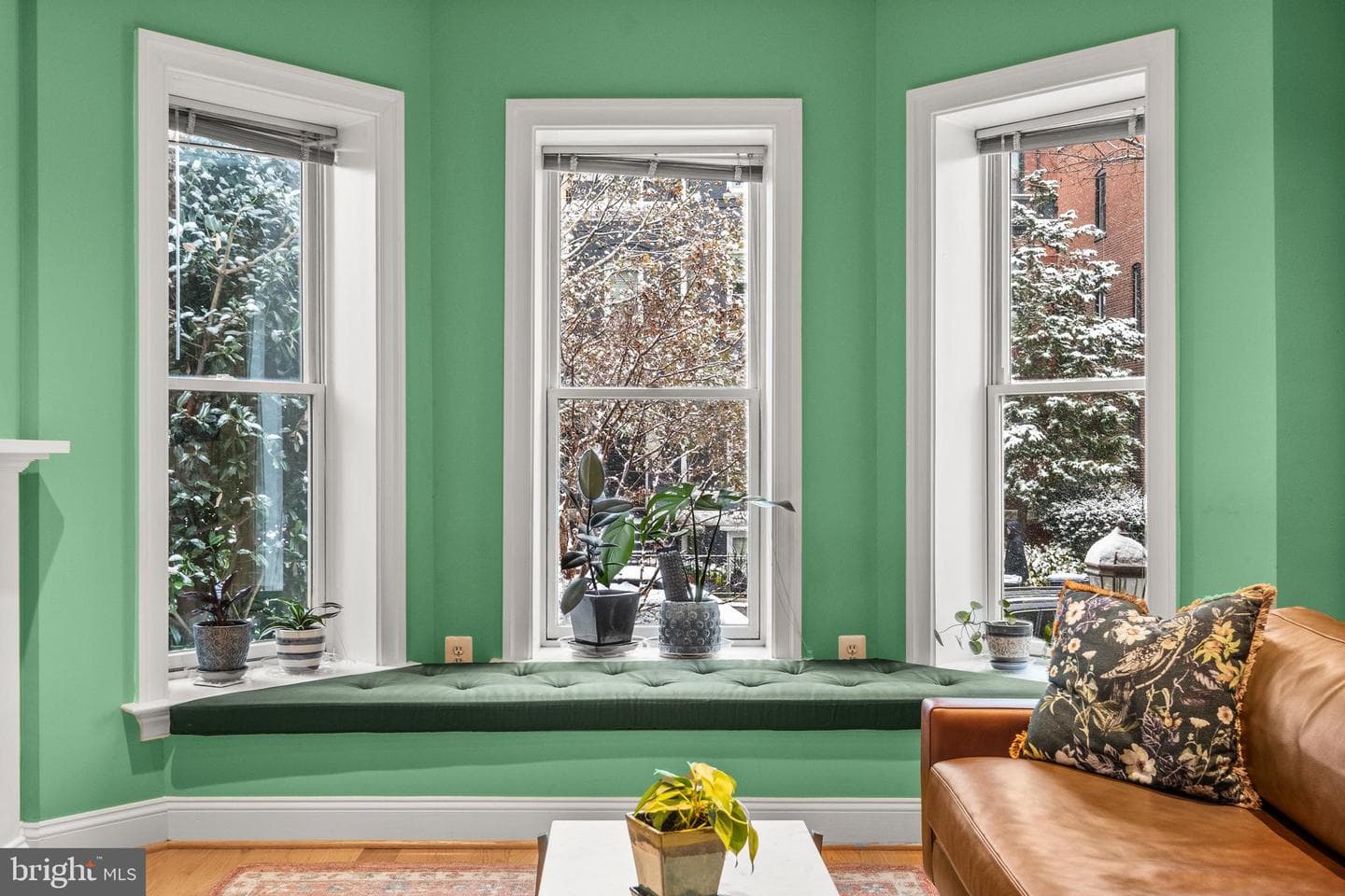 1740 18th Street NW #101 photo 4