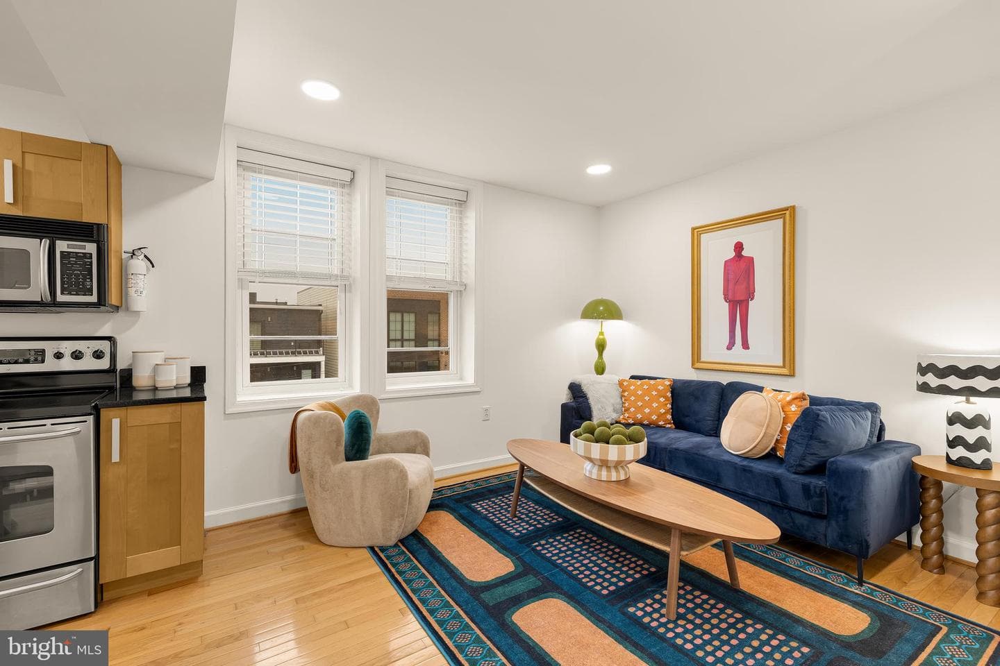 314 V Street NE #204, Washington