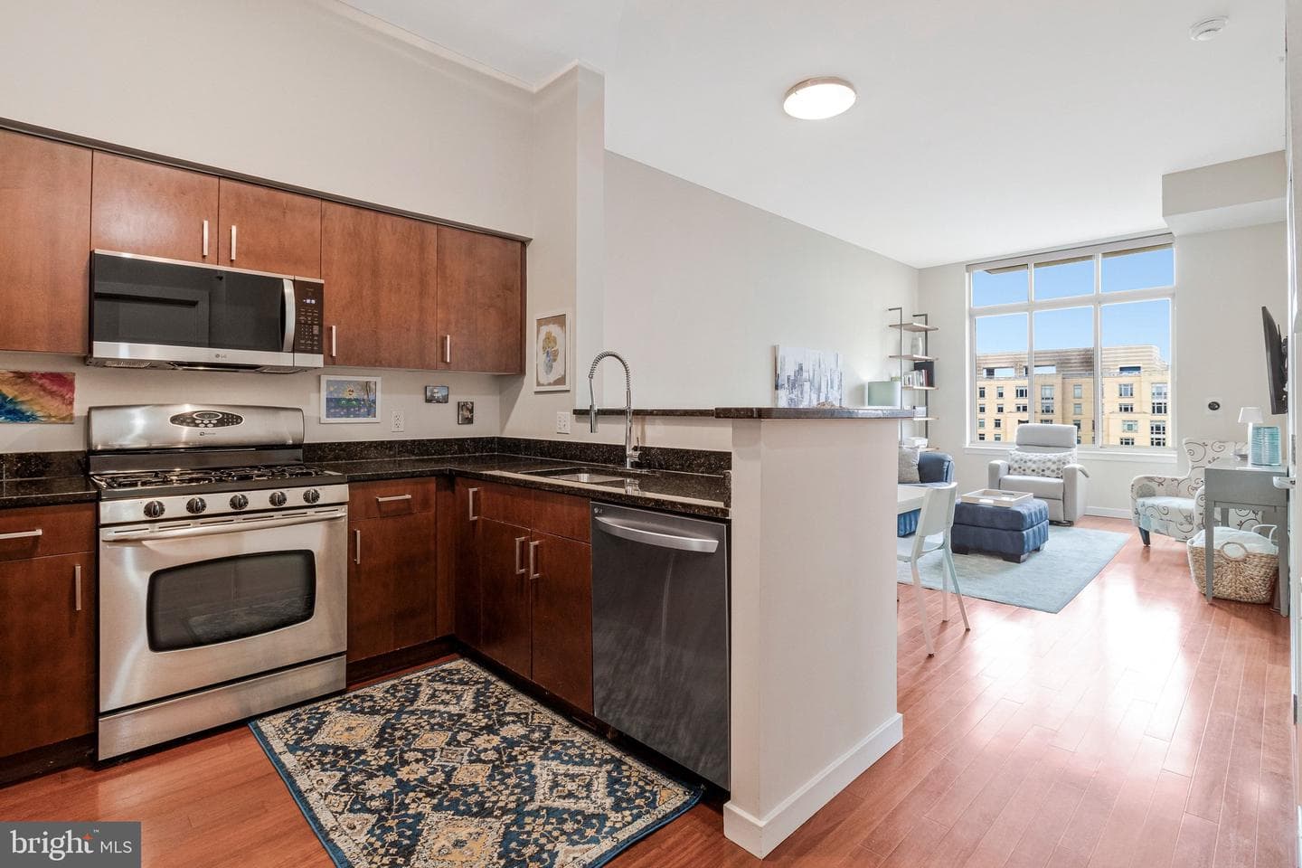 1000 New Jersey Avenue SE #ph12, Washington