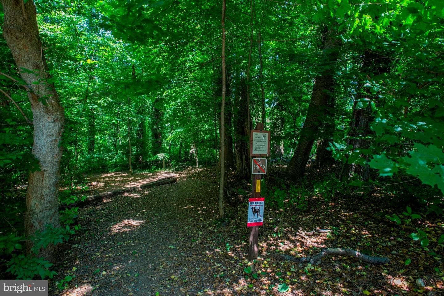 3900 Tunlaw Road NW #103 photo 34