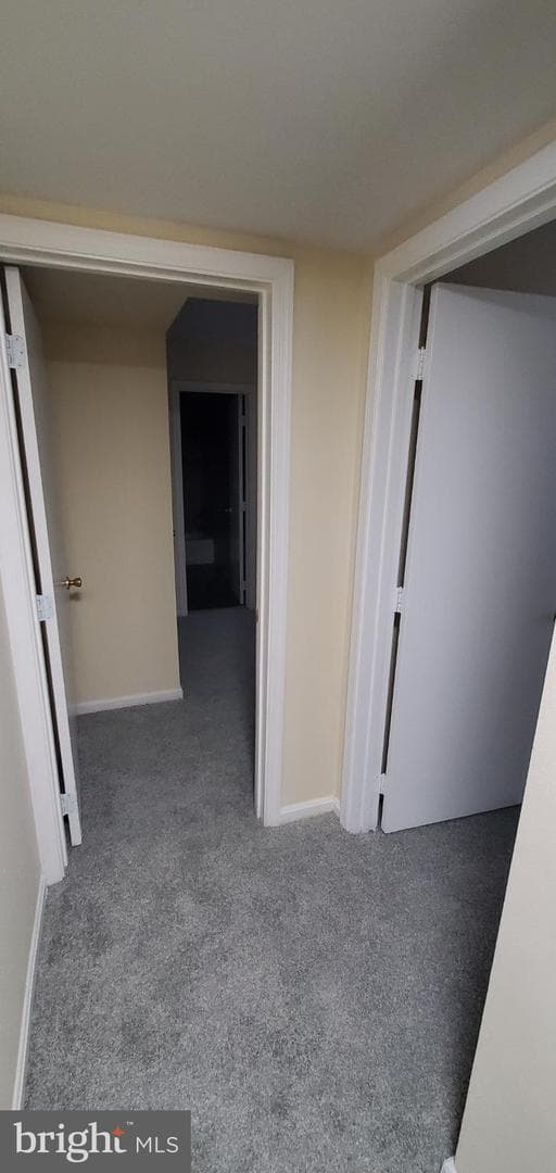 1429 Girard Street NW #205 photo 33