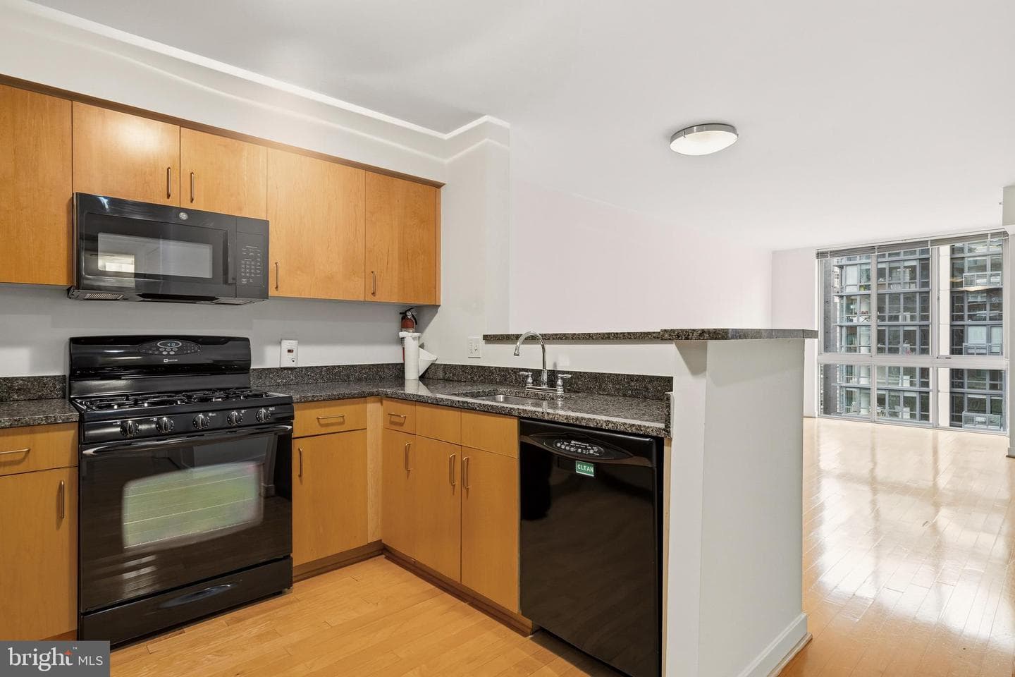 1000 New Jersey Avenue SE #908 photo 9