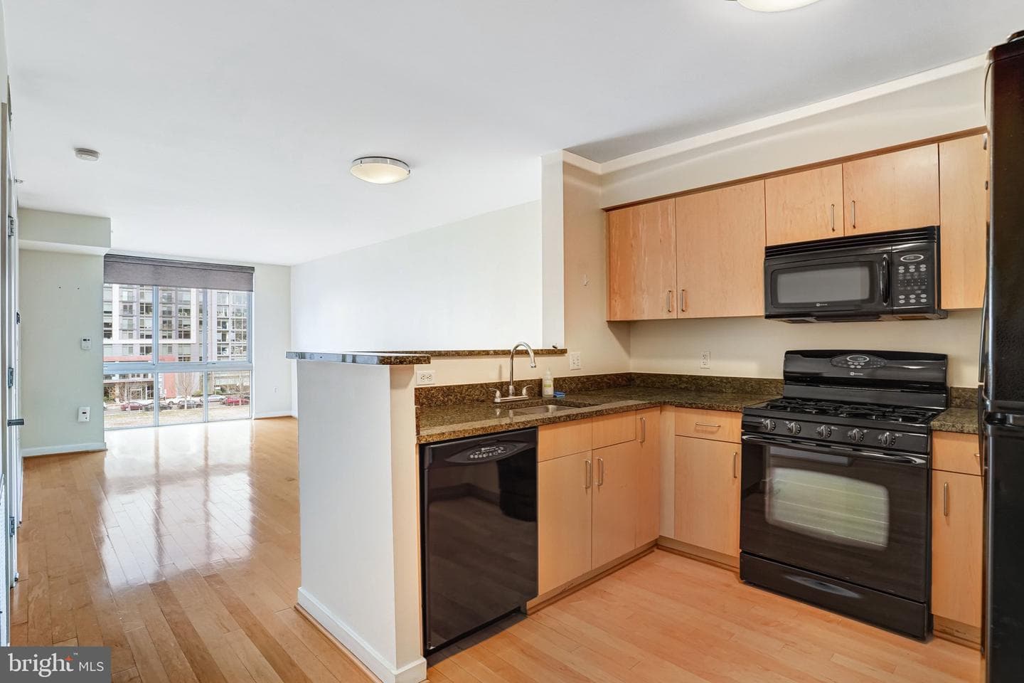 1000 New Jersey Avenue SE #515, Washington