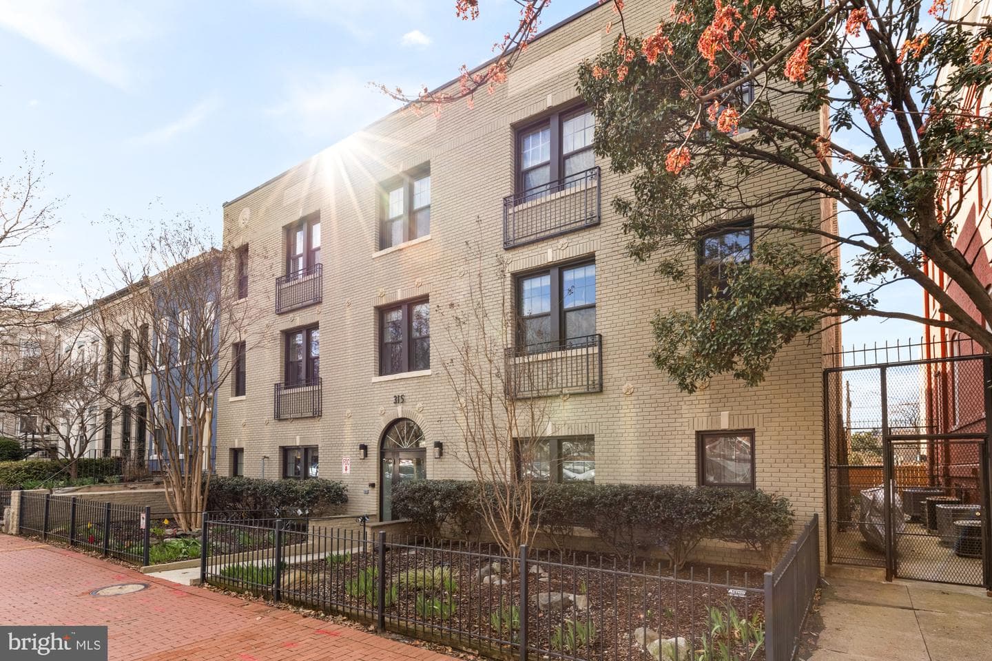 315 G Street NE #303 photo 15
