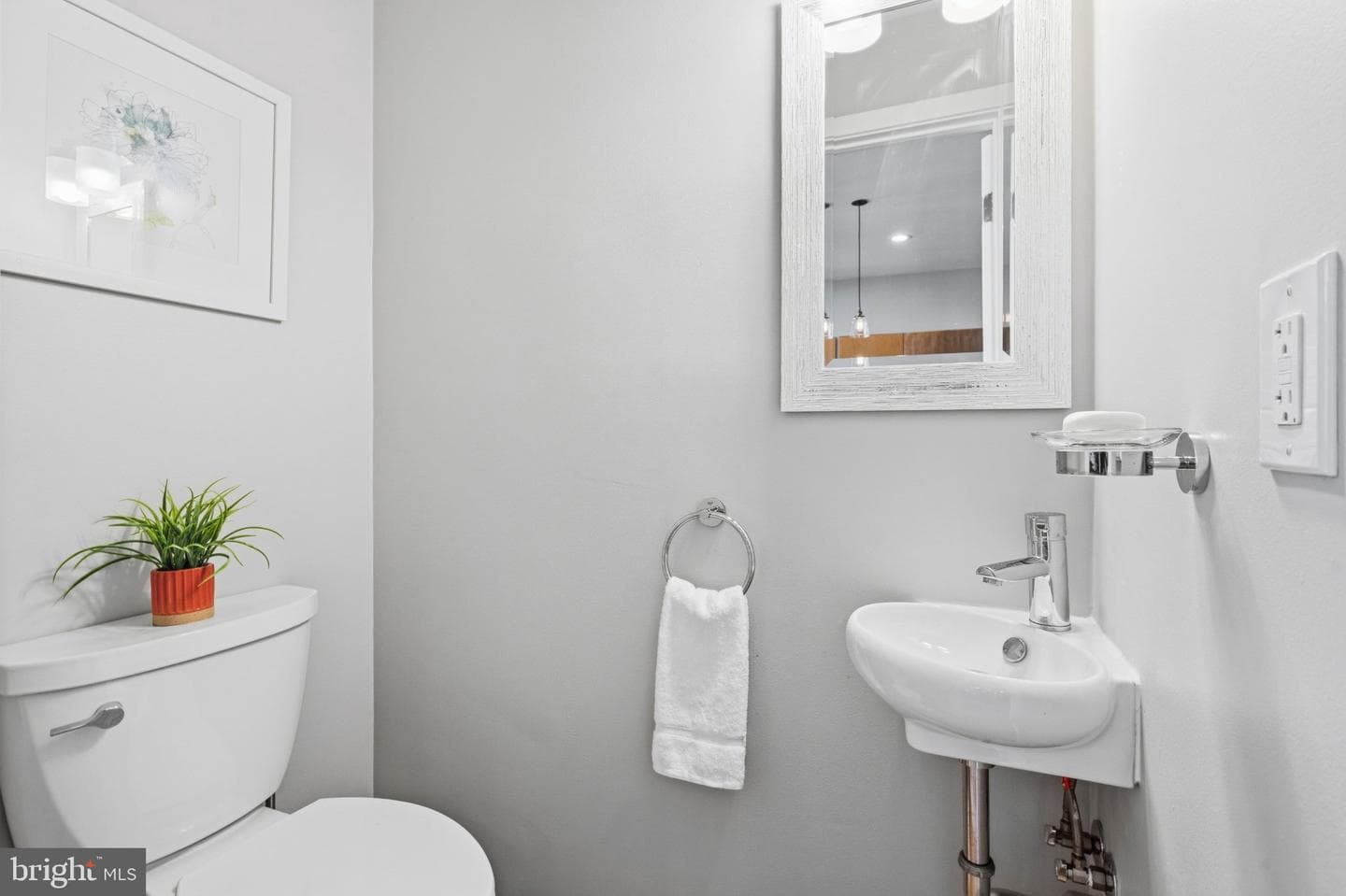 1443 S Street NW #2 photo 33