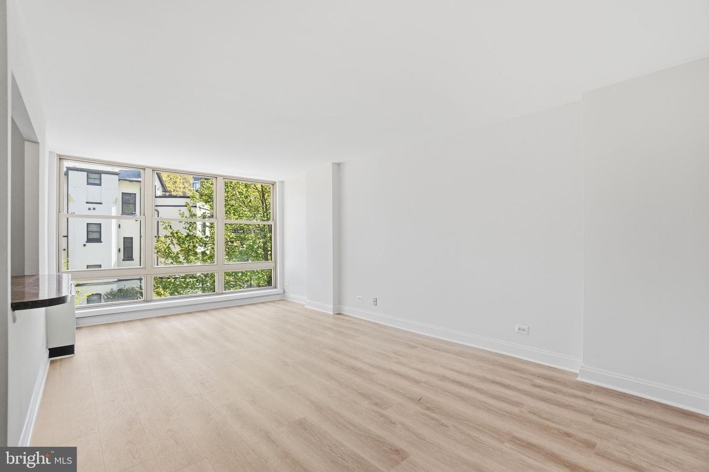 1260 21st Street NW #314 photo 5