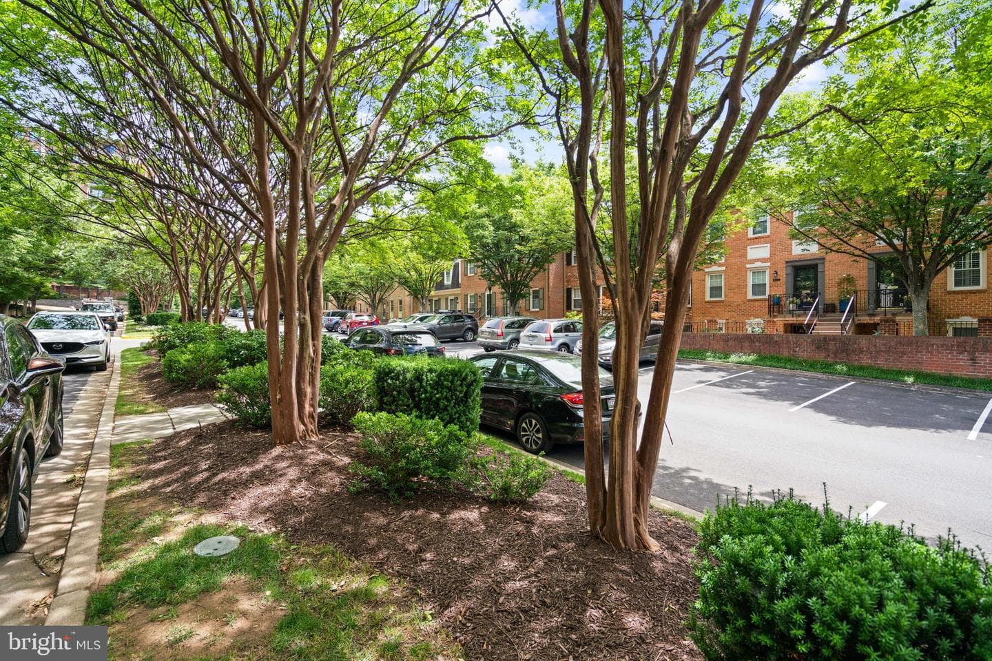 3101 New Mexico Avenue NW #817 photo 53