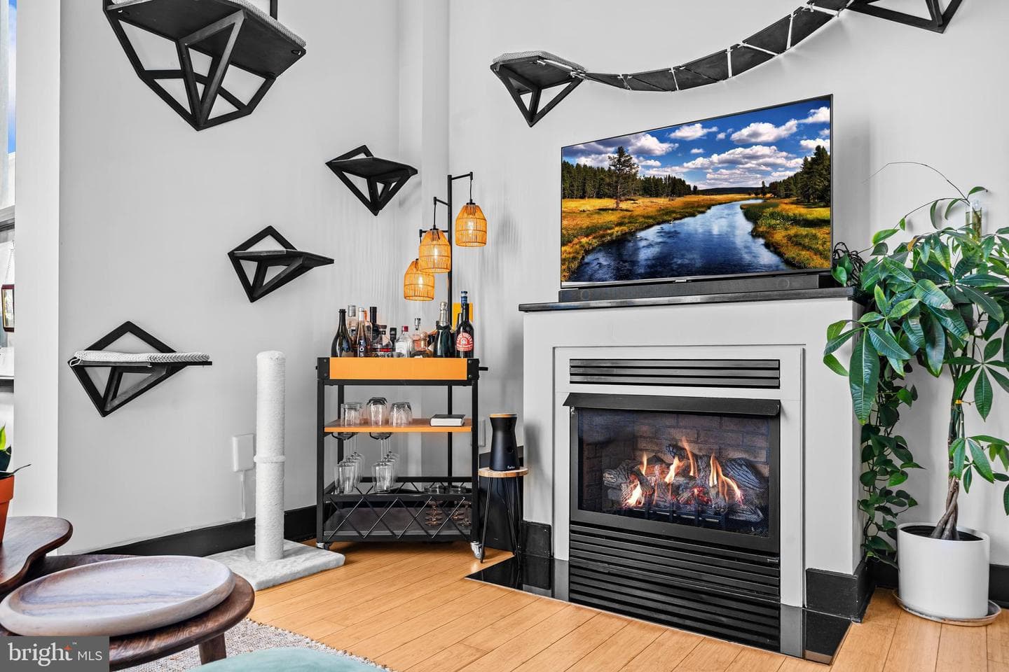 3039 16th Street NW #302 photo 16