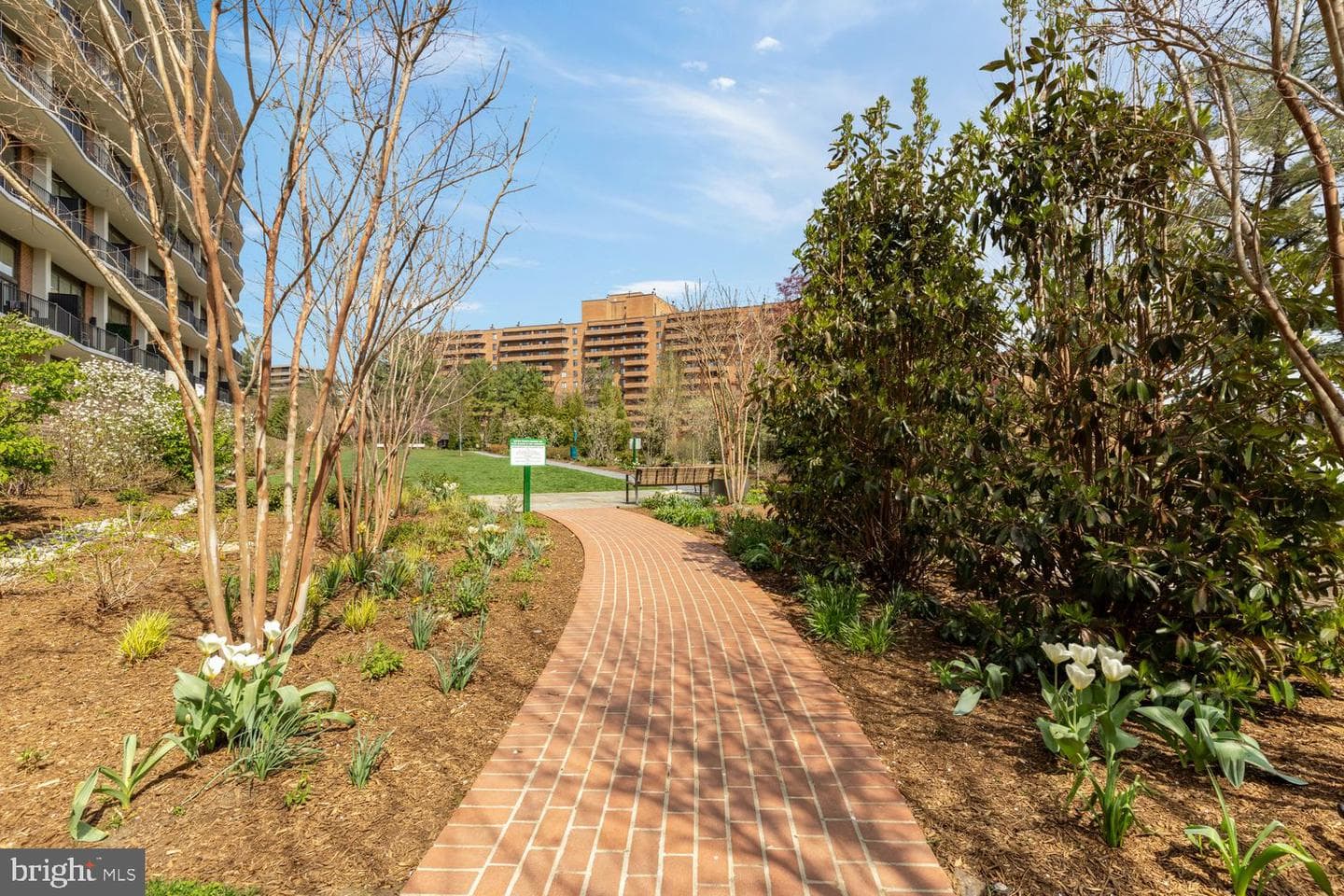 3101 New Mexico Avenue NW #1001 photo 23