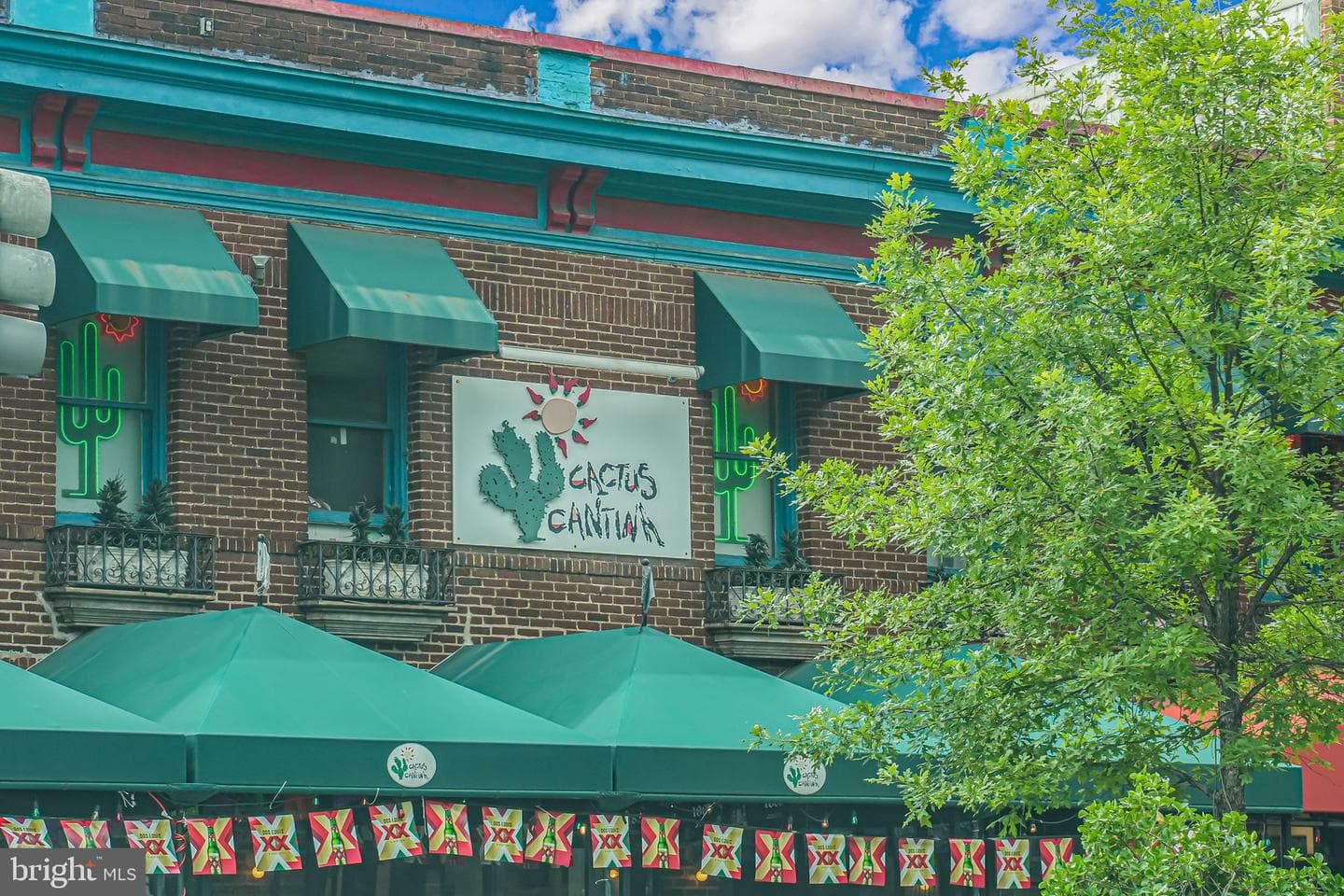 3101 New Mexico Avenue NW #1001 photo 26