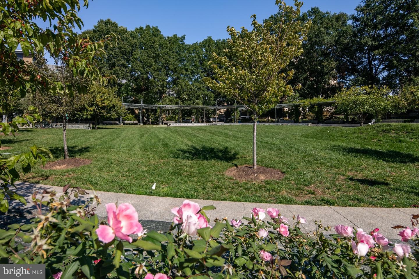 525 SW Water Street SW #404 photo 46
