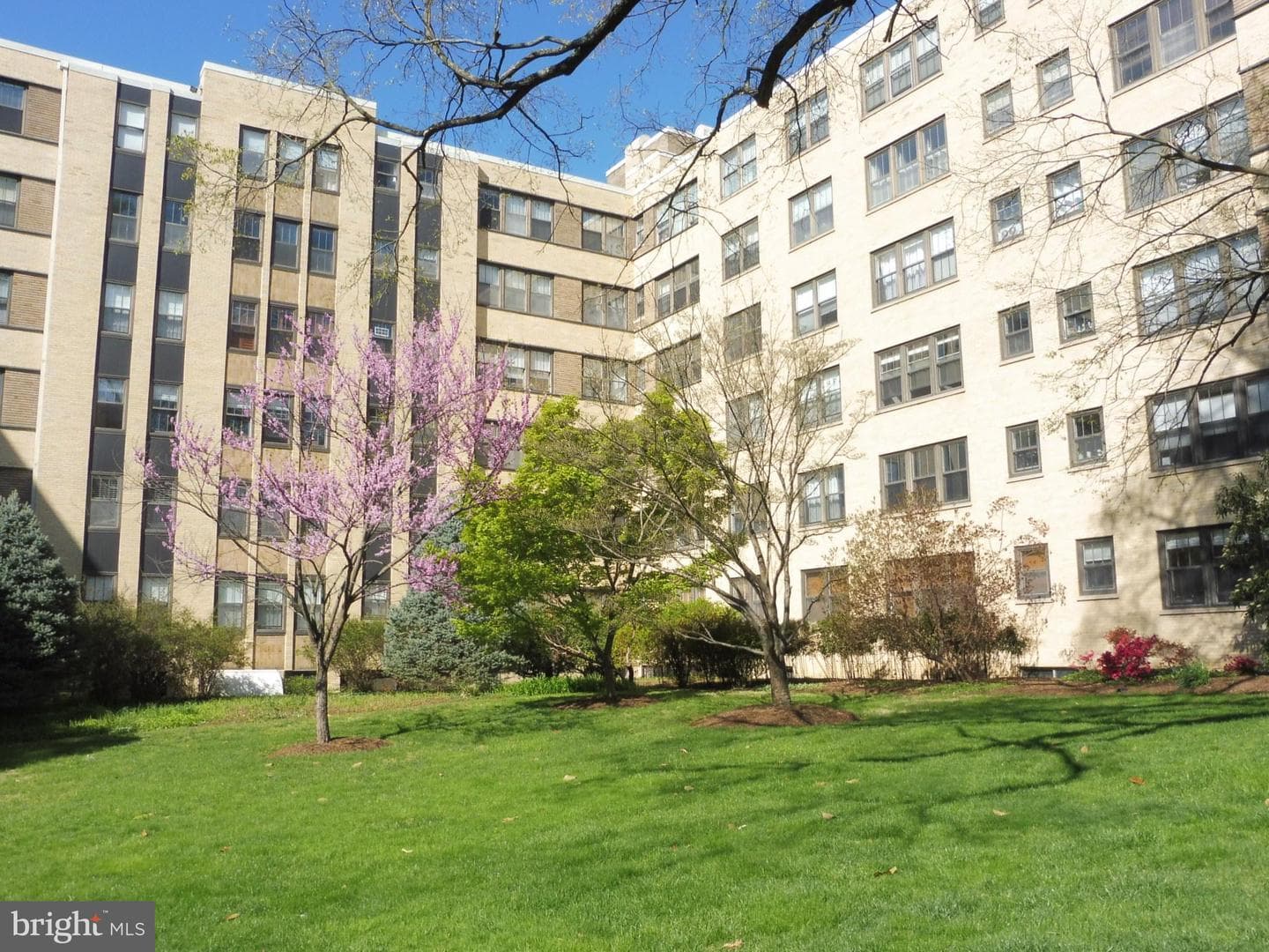 3901 Cathedral Avenue NW #111 photo 2