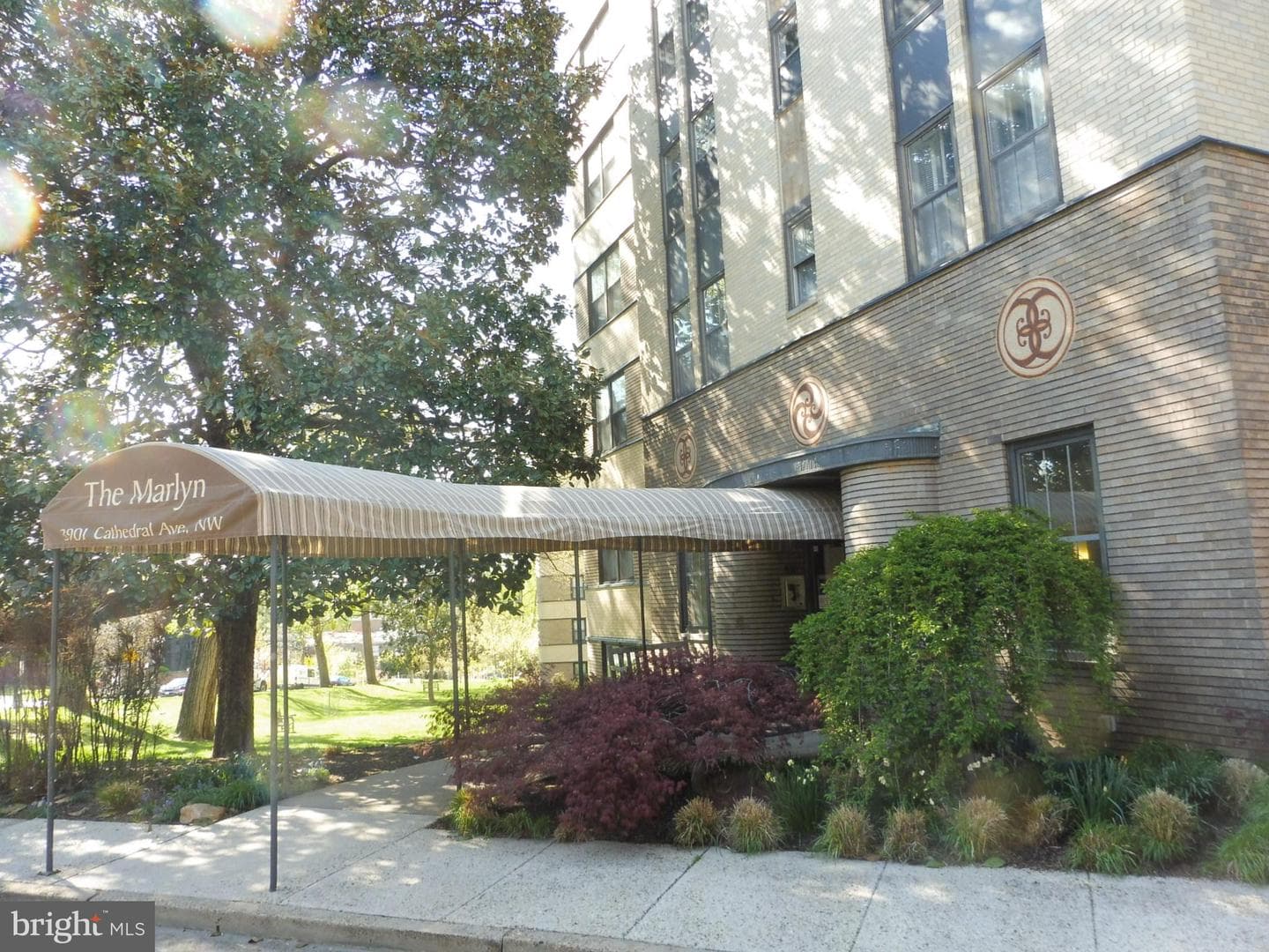 3901 Cathedral Avenue NW #111 photo 3