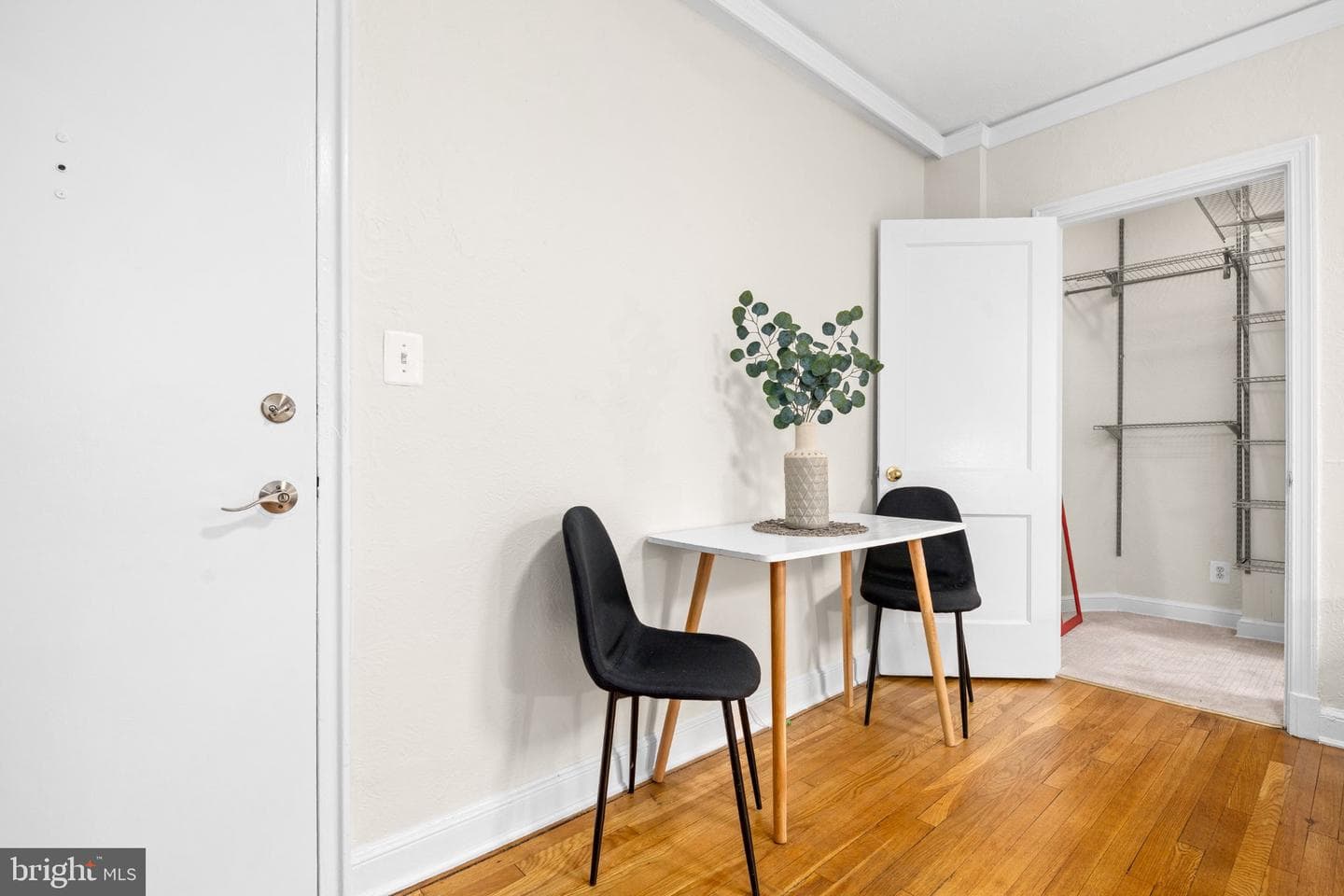 1439 Euclid Street NW #204 photo 2