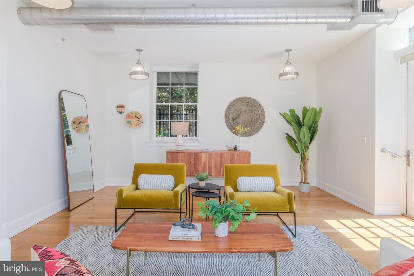 215 I Street NE #105 photo 6