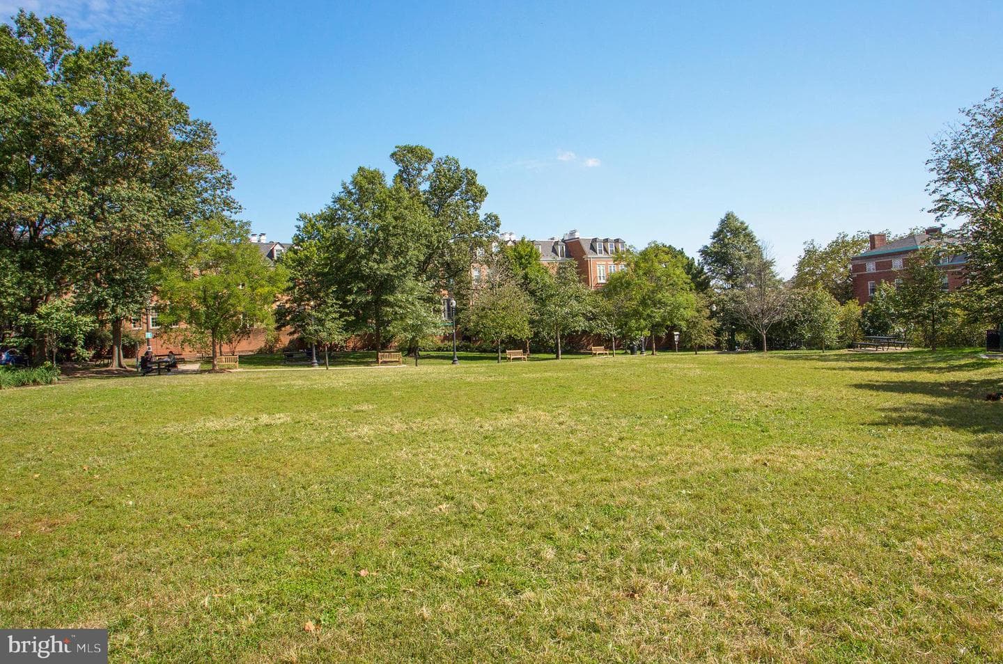2123 California Street NW #d5 photo 22