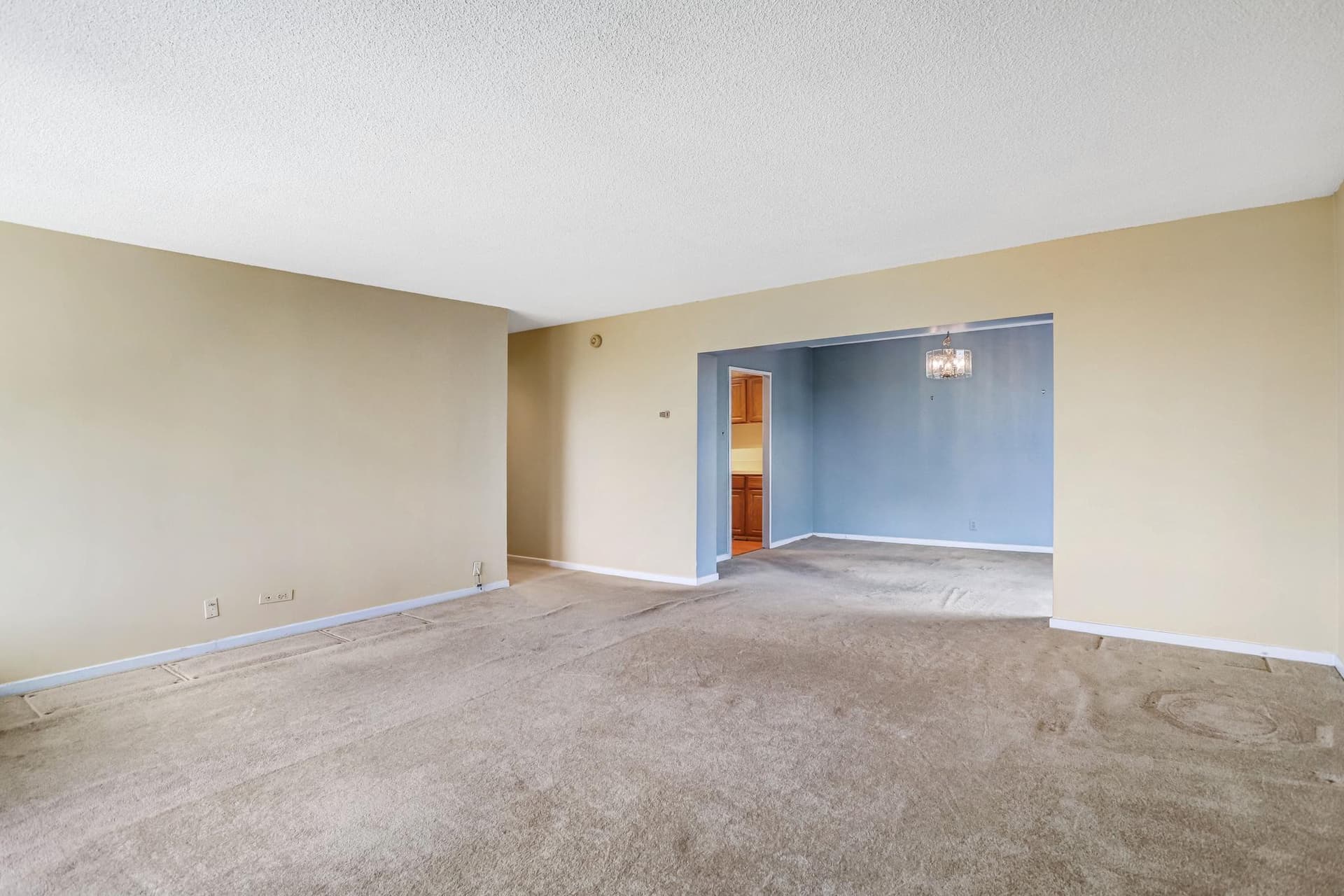 240 M Street SW #e214 photo 19