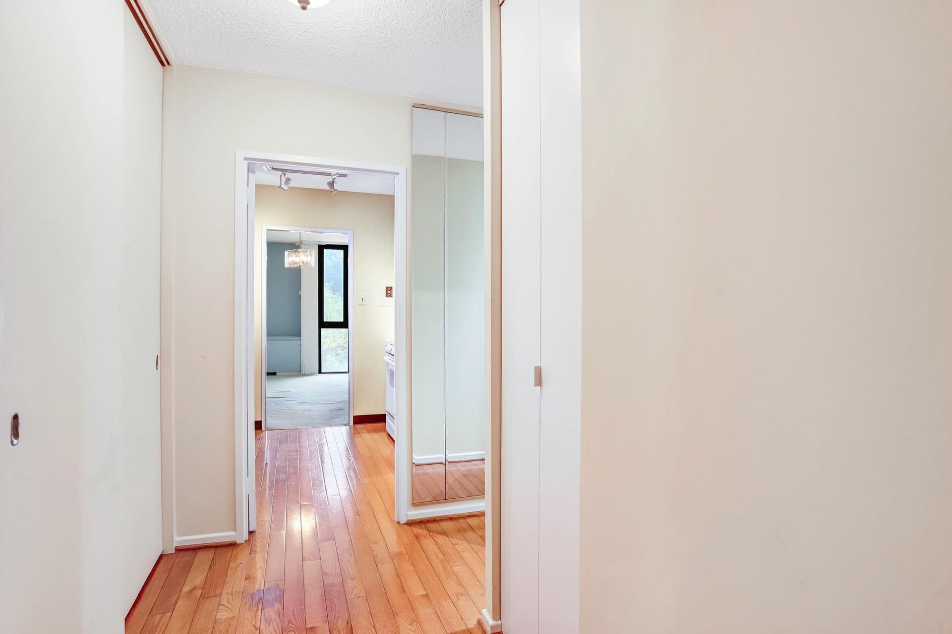 240 M Street SW #e214 photo 7