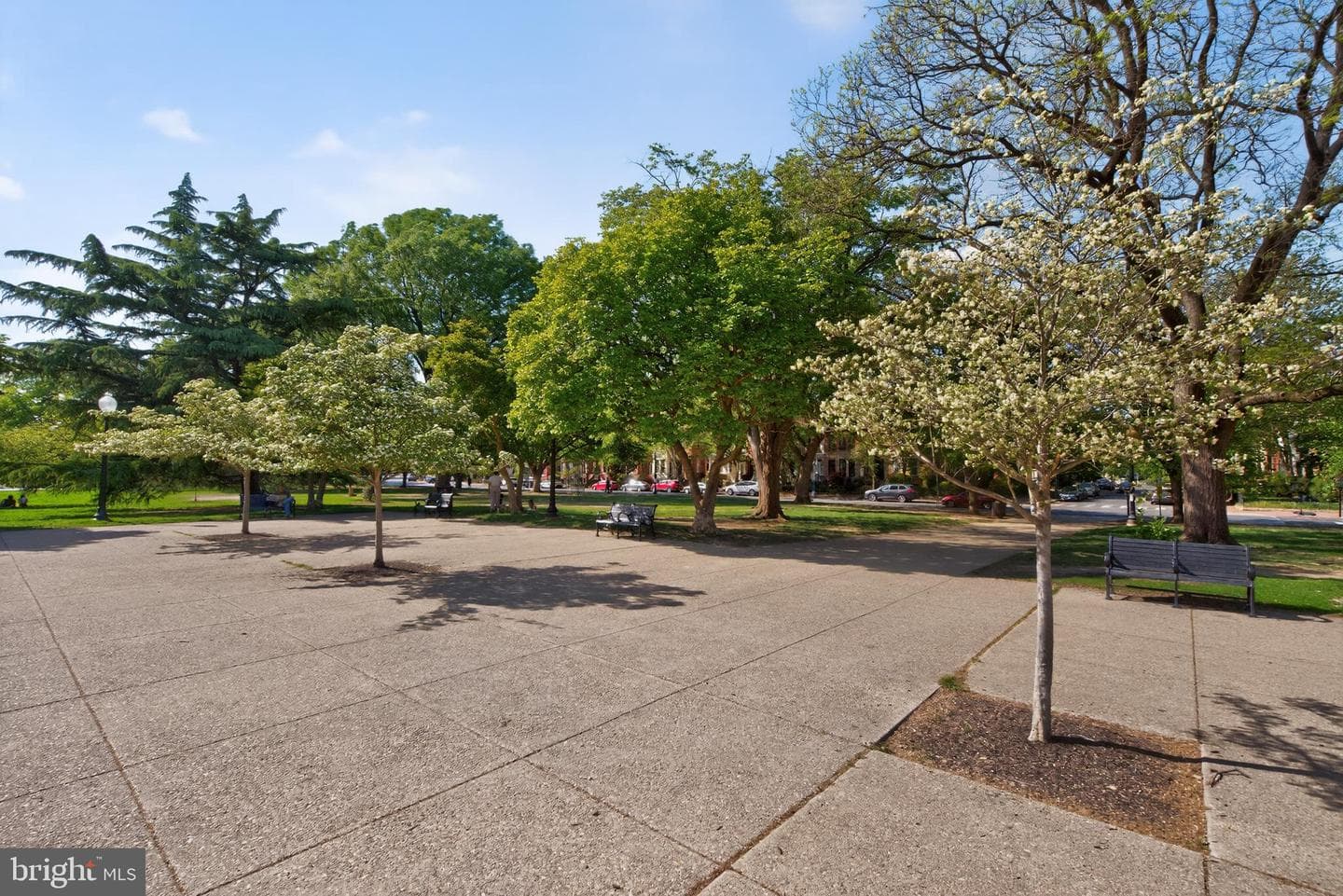 29 14th Street NE #29 photo 21
