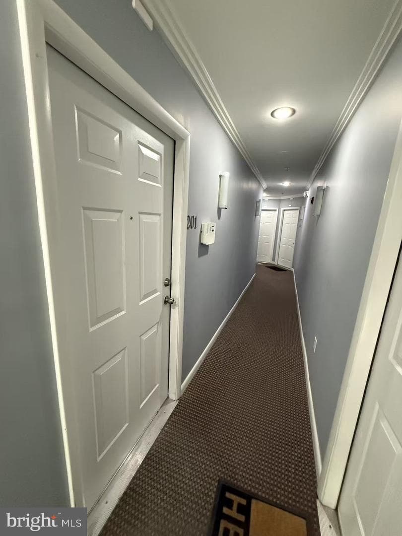 412 19th Street NE #201 photo 4