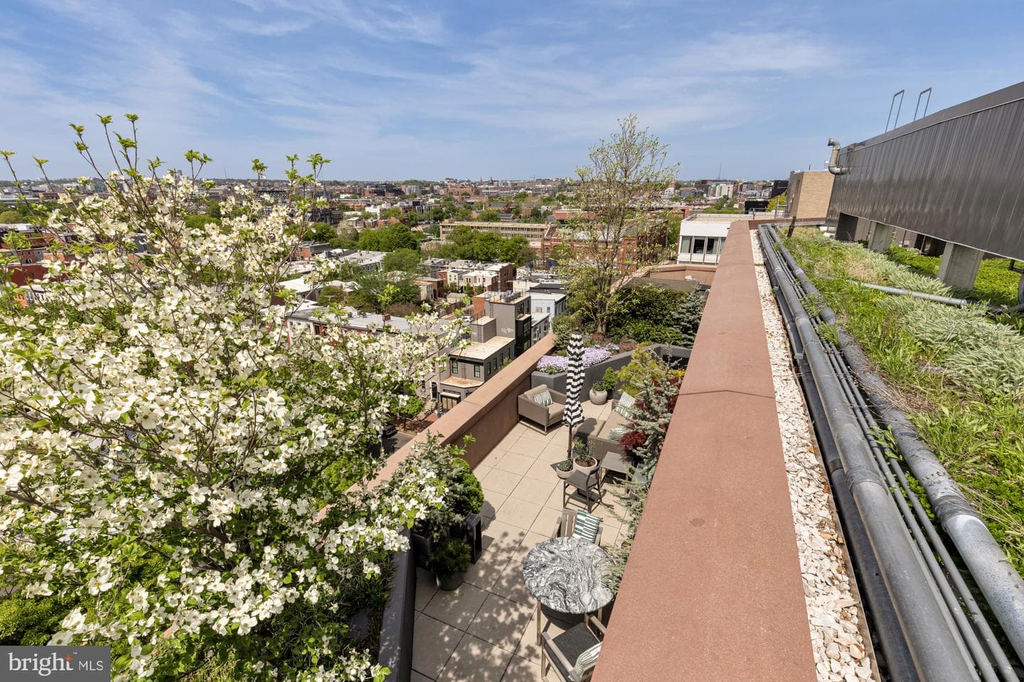 810 O Street NW #901 photo 3