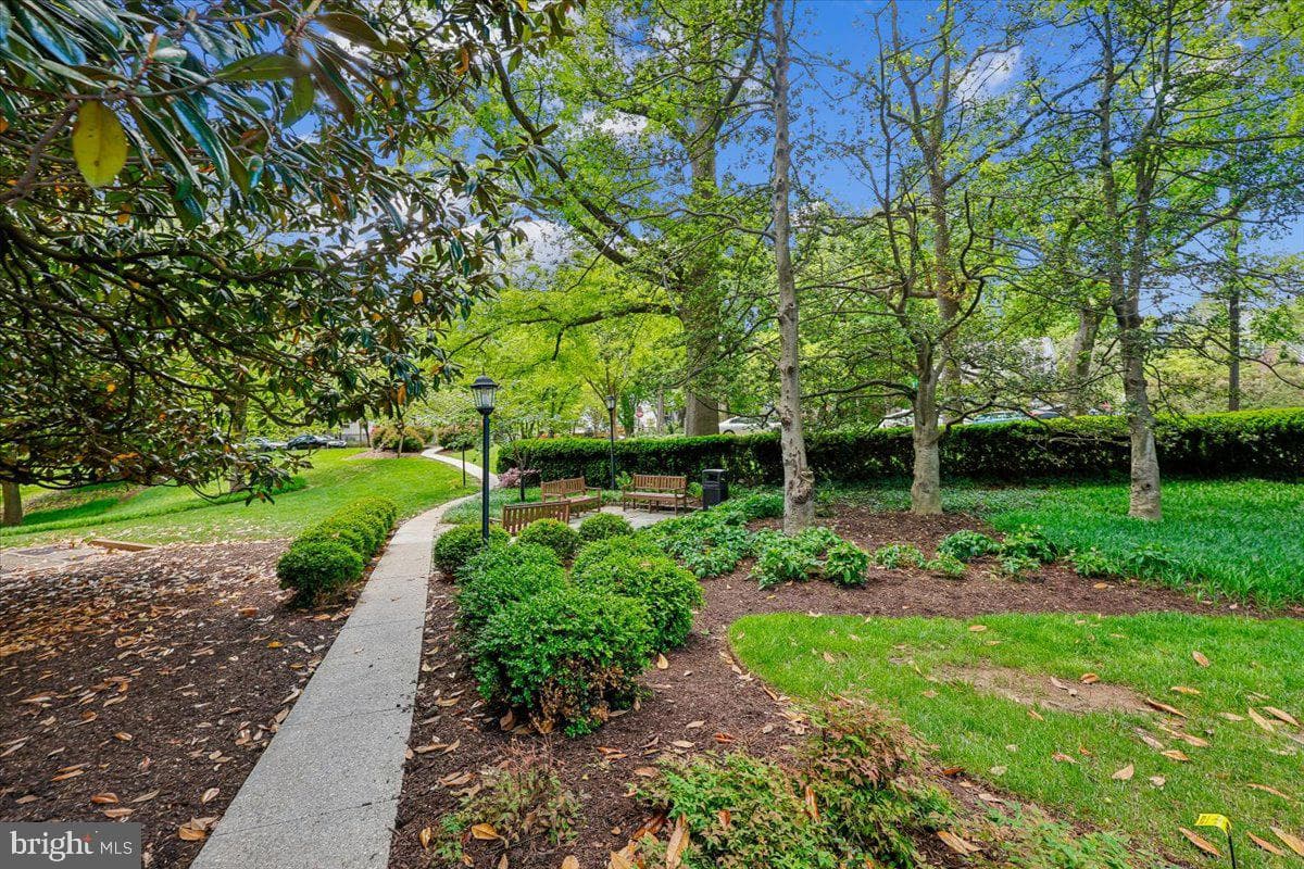 4200 Cathedral Avenue NW #716 photo 4