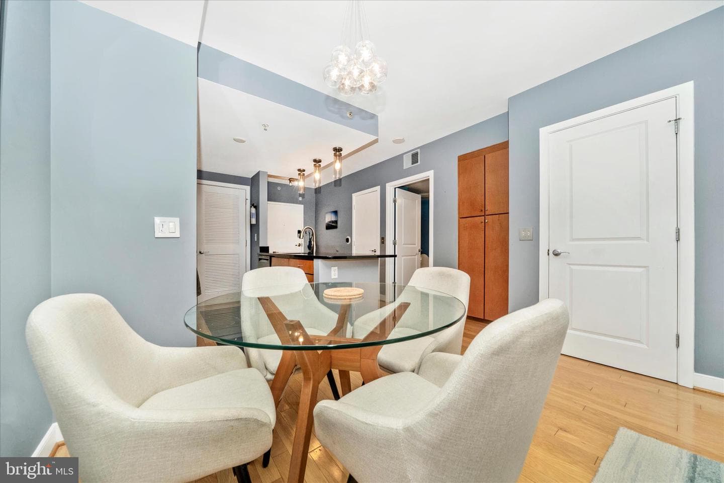 1117 10th Street NW #1009 photo 13