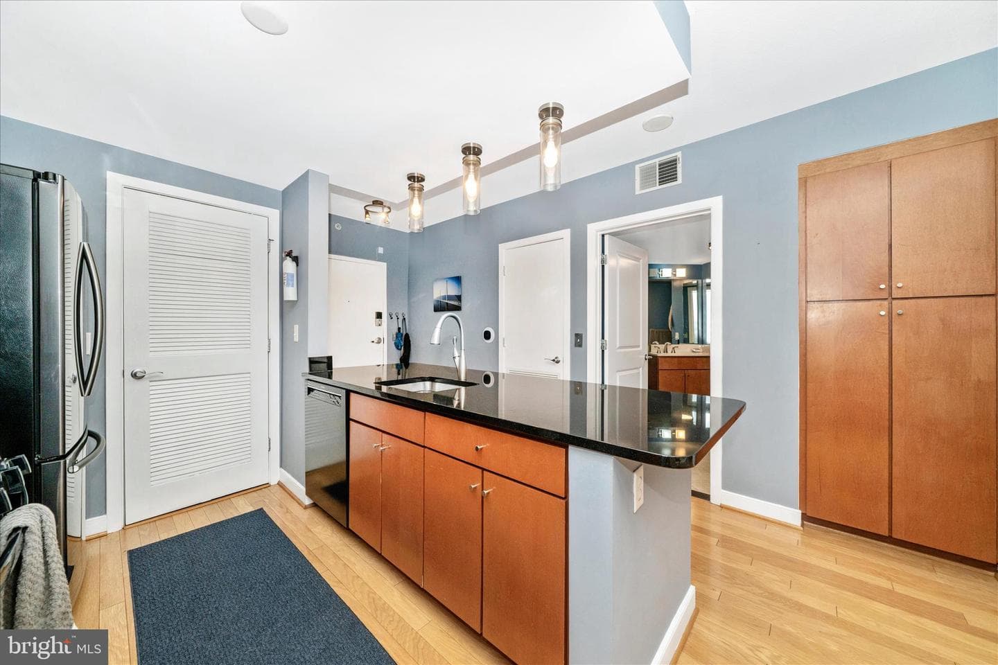 1117 10th Street NW #1009 photo 6