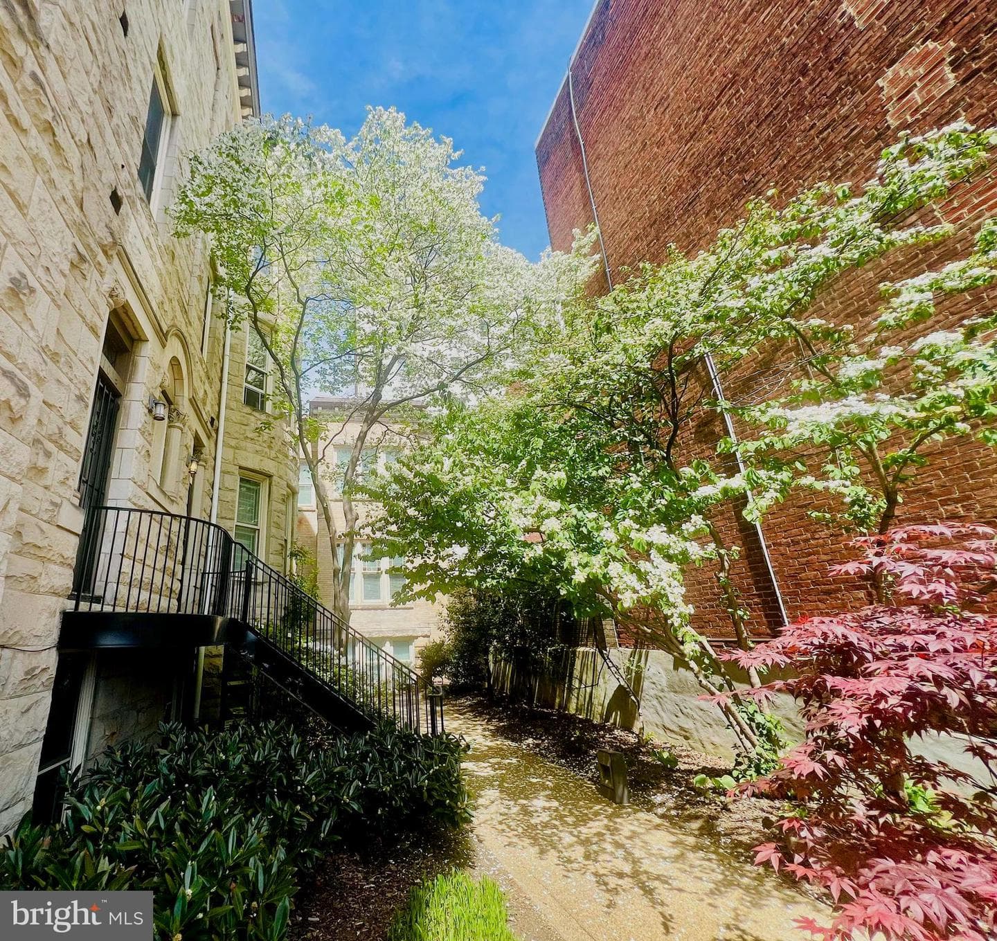 2107 S Street NW #a photo 32