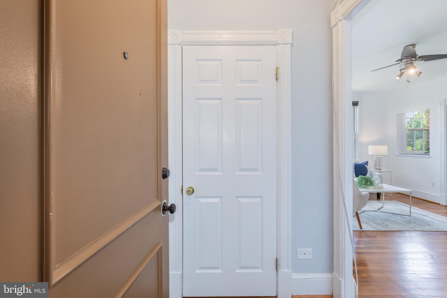3314 Mount Pleasant Street NW #41 photo 8