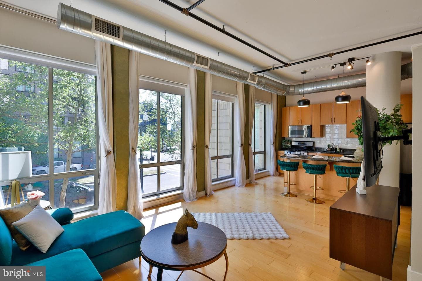 301 Massachusetts Avenue NW #204 photo 7