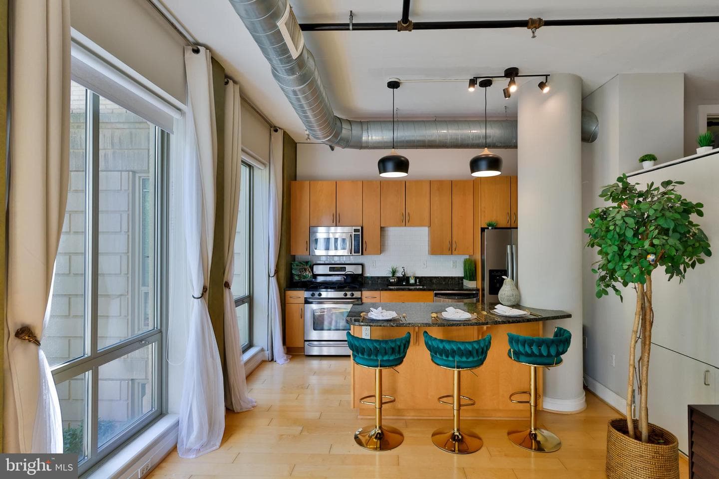 301 Massachusetts Avenue NW #204 photo 8