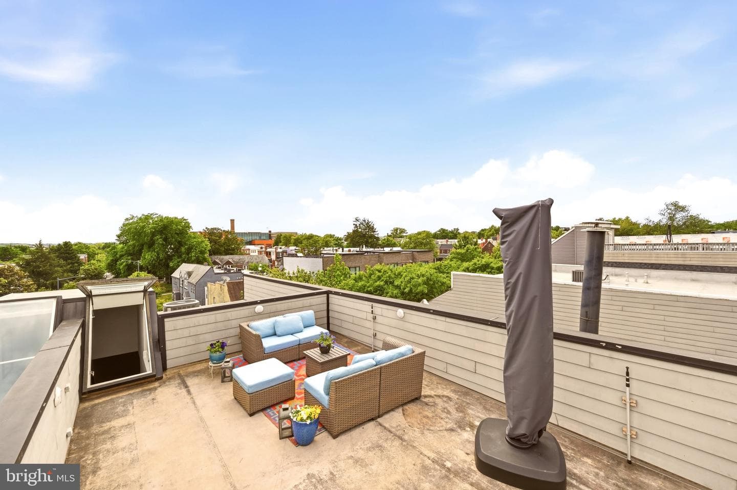 1824 D Street NE #3 photo 24