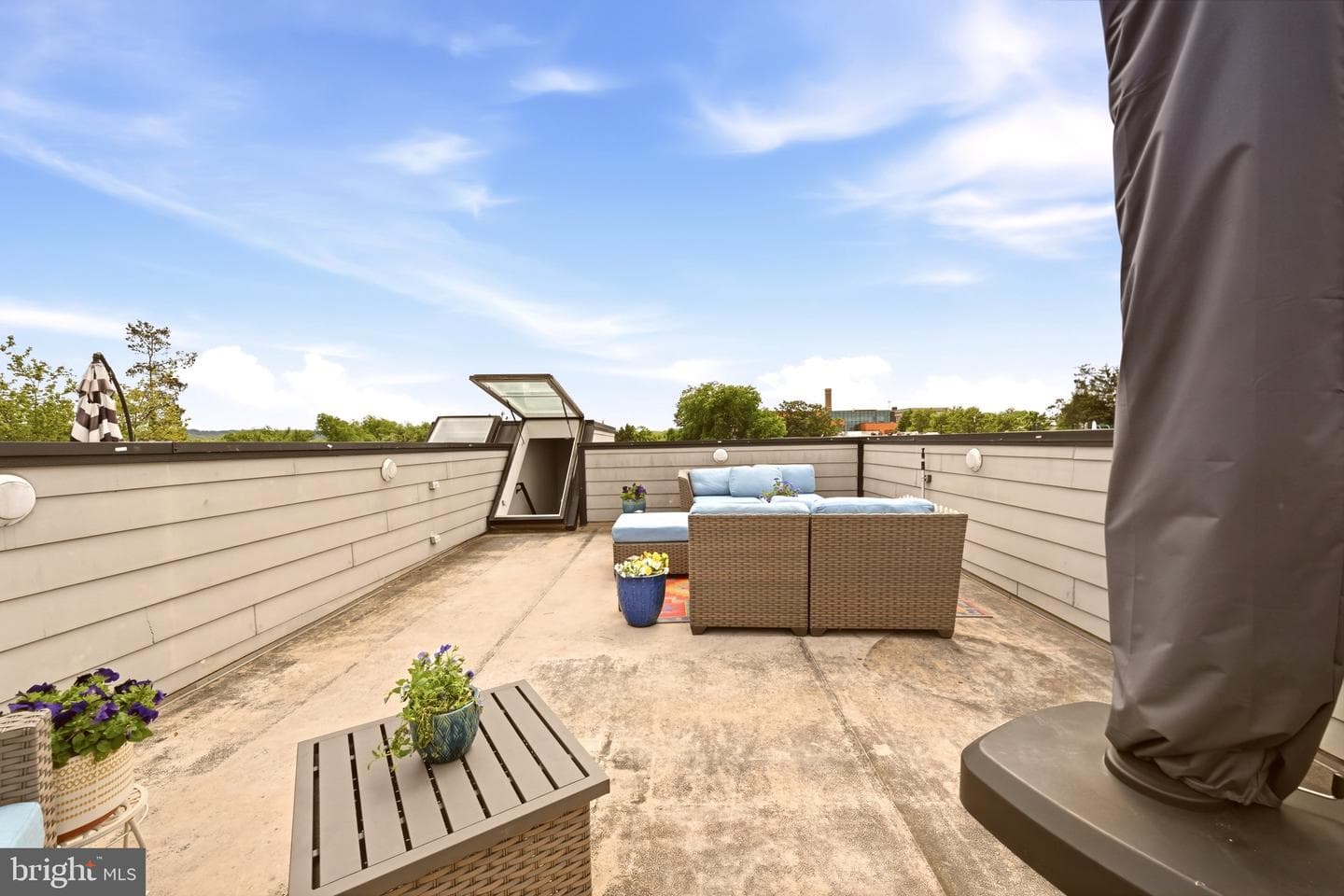 1824 D Street NE #3 photo 25