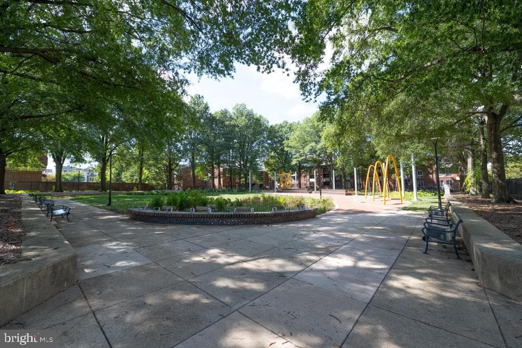 1242 New Jersey Avenue NW #2 photo 43