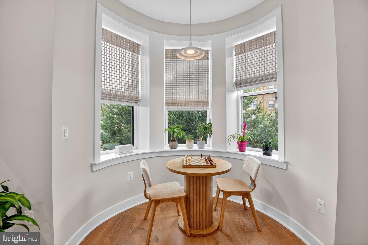 1225 11th Street NW #8 photo 5