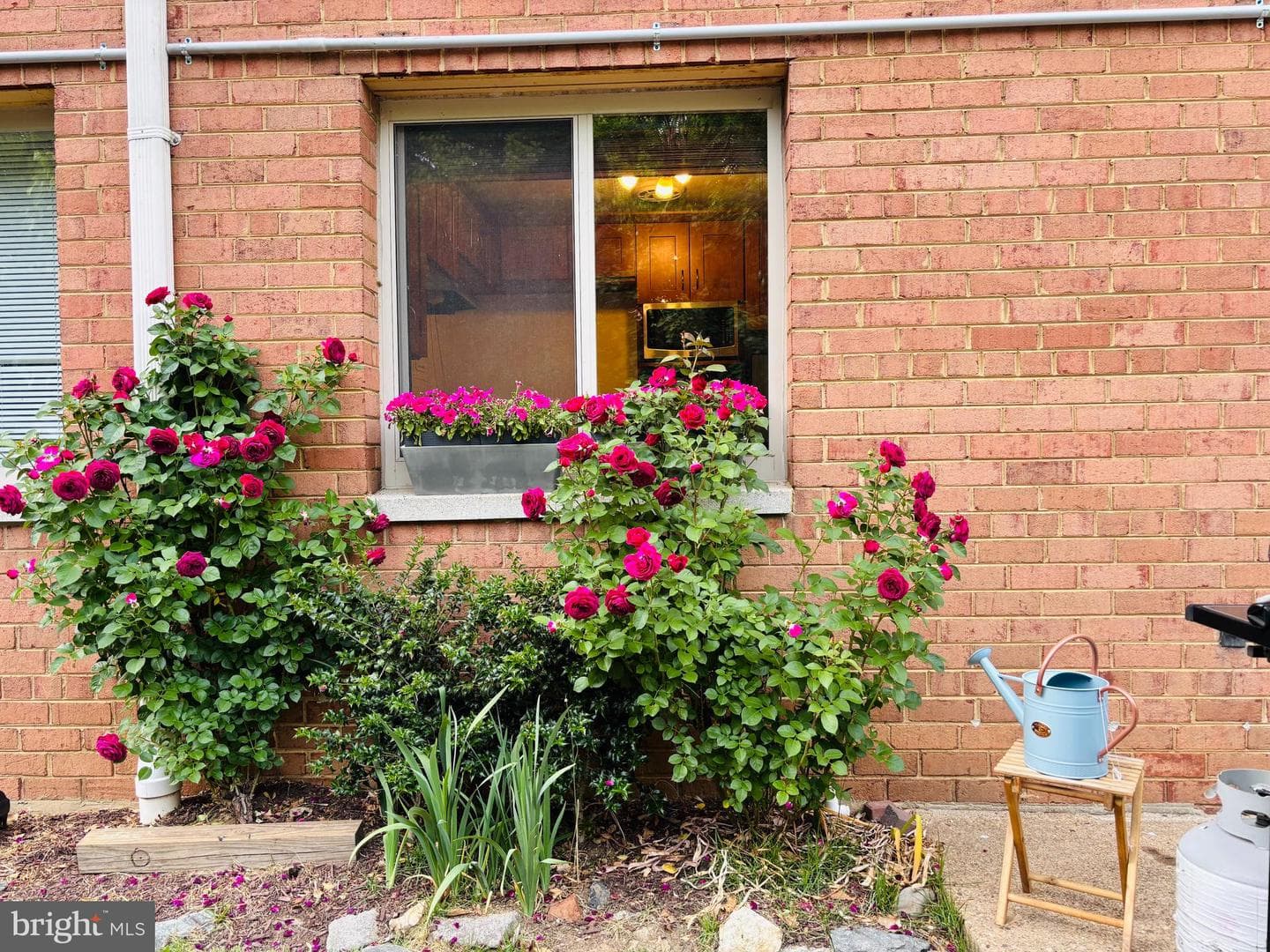 2710 Macomb Street NW #111 photo 2