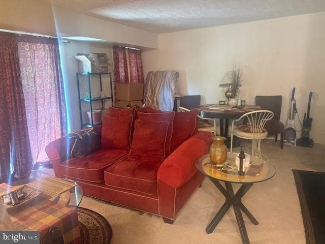 3425 5th Street SE #12 photo 4