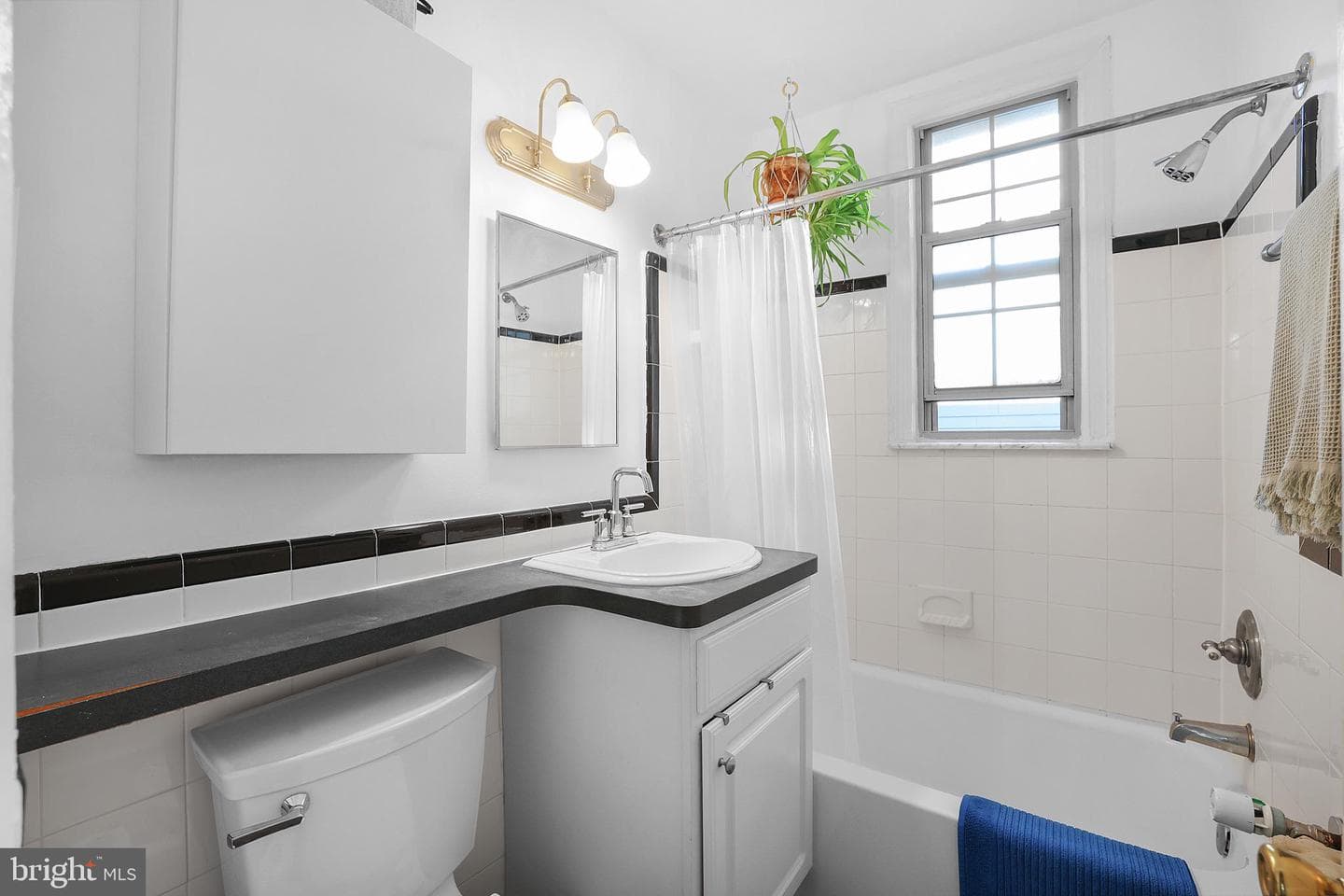 1441 Euclid Street NW #206 photo 13