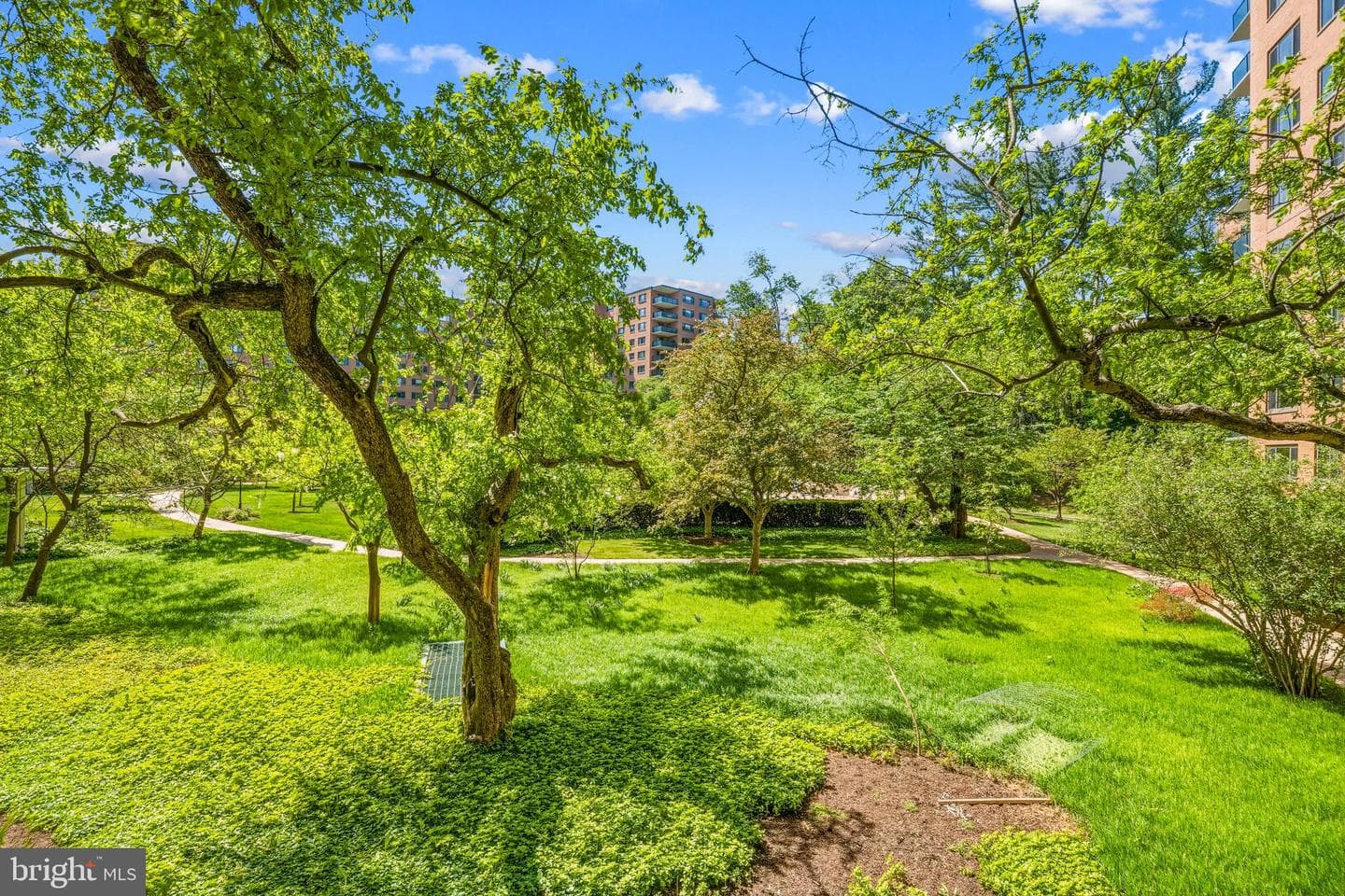 4201 Cathedral Avenue NW #220e photo 32