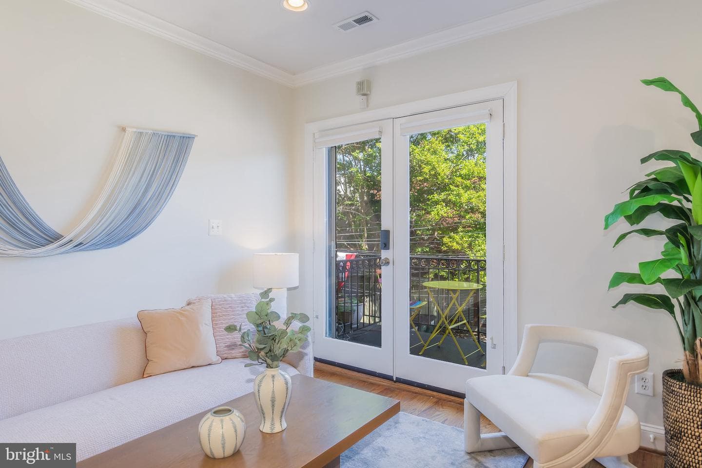 1116 C Street NE #202 photo 8
