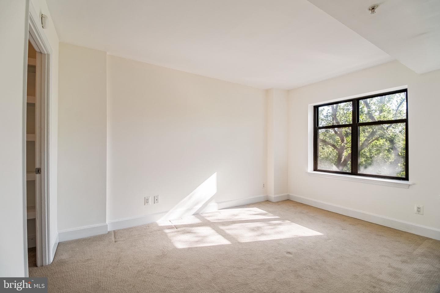 3401 38th Street NW #324 photo 10
