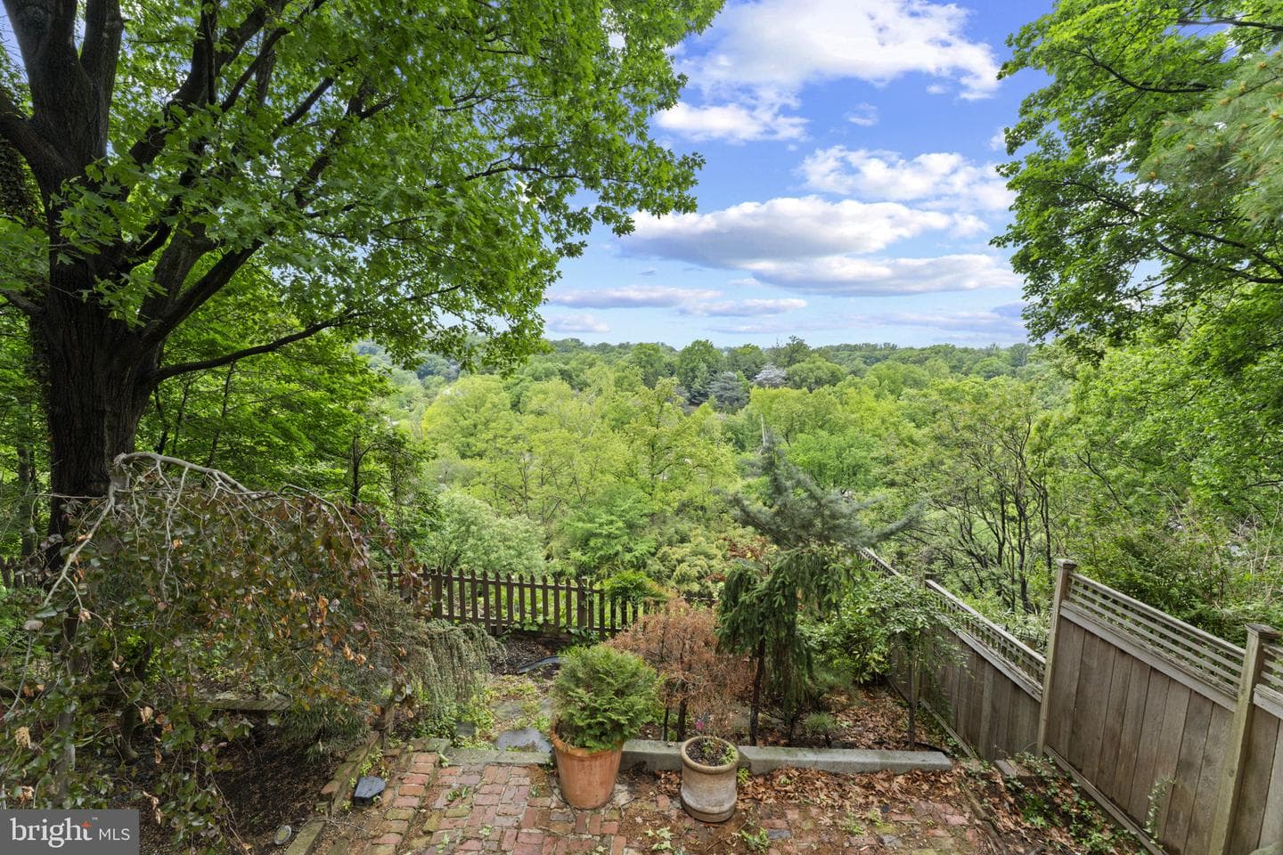 2812 Adams Mill Road NW photo 2