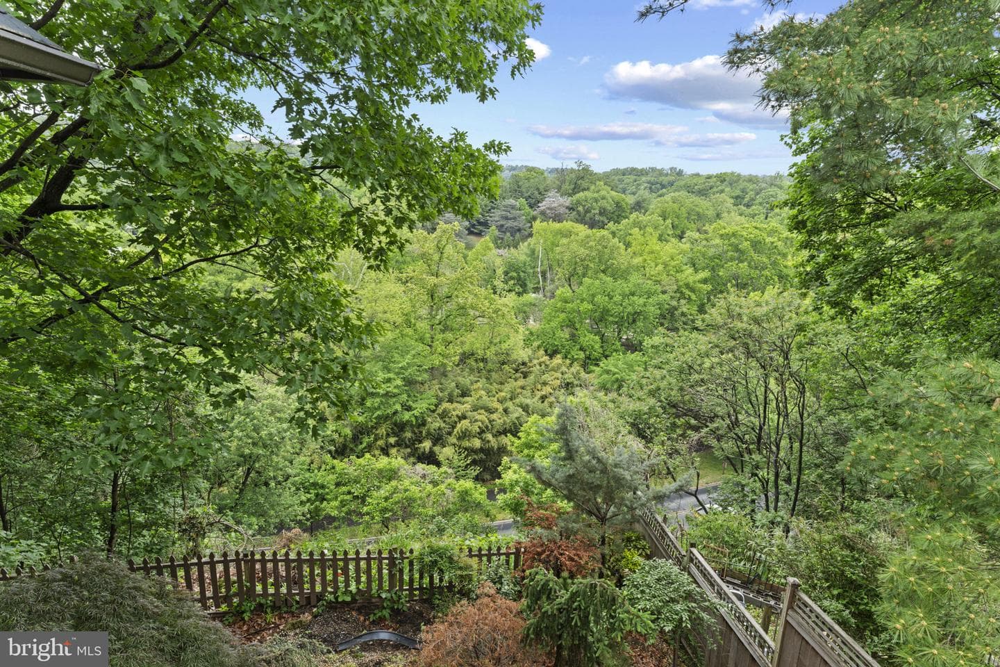 2812 Adams Mill Road NW photo 3